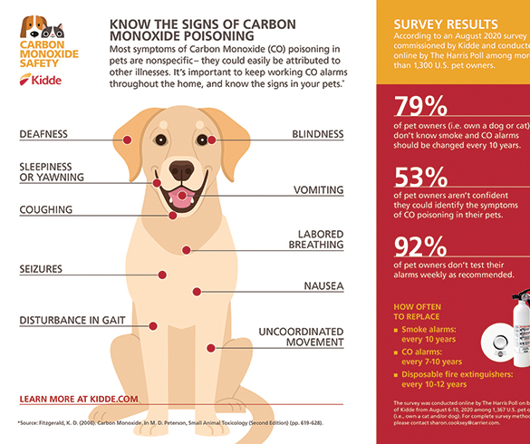 Understanding the Signs of Carbon Monoxide Poisoning in Pets - 15430