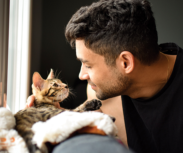 Expert Tips for Welcoming a Kitten - 15605